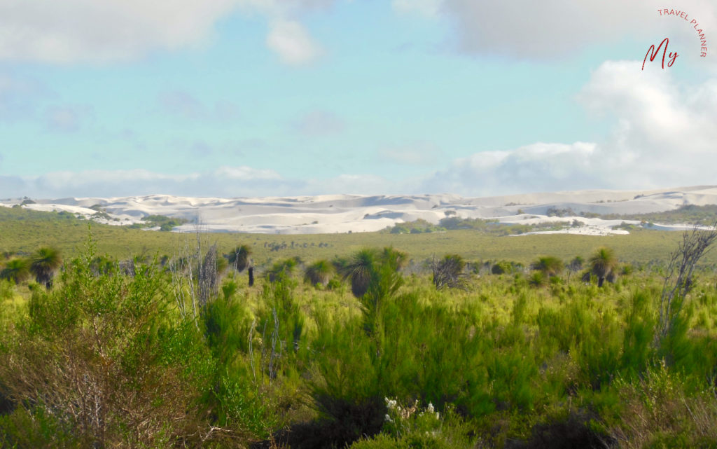 panorami sulla strada per il deserto dei pinnacoli