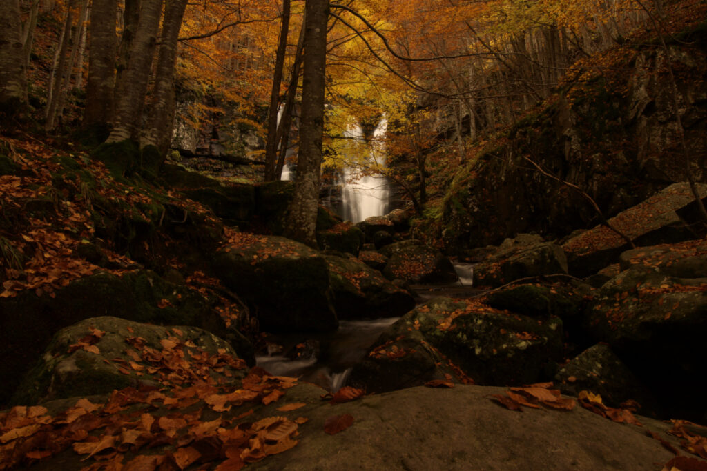 Foliage alle Cascate del Dardagna