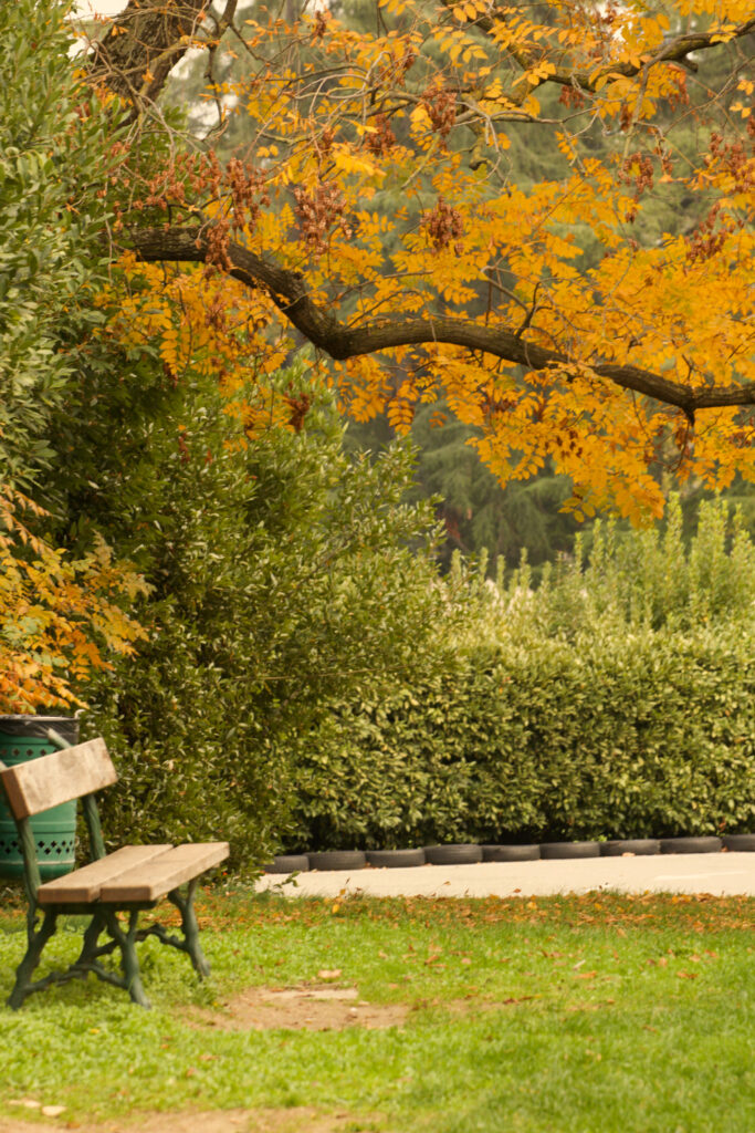 Foliage a Bologna ai Giardini Margherita