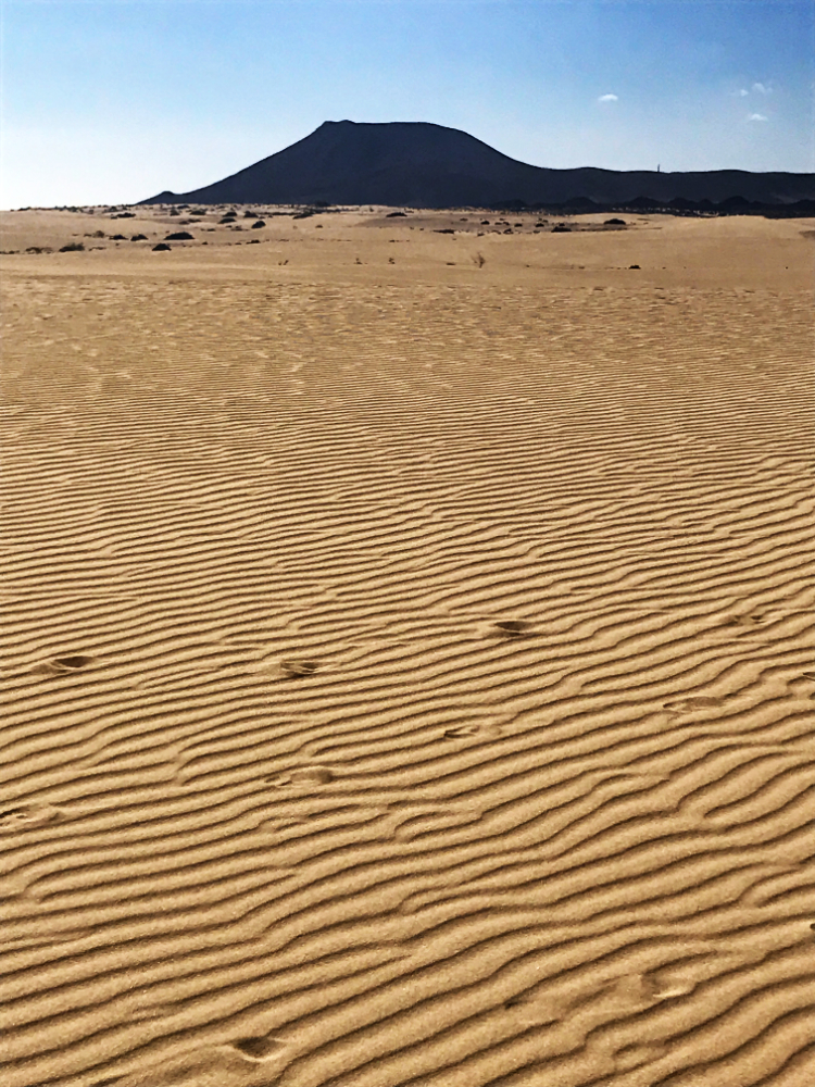 Dune di Corralejo e Montana Roja