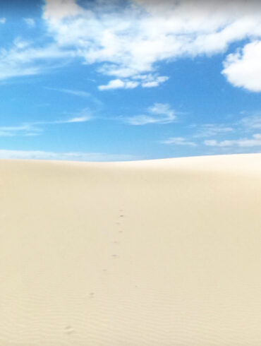 Parco naturale delle Dune di Corralejo