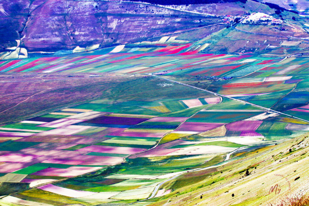 le fioriture più belle del mondo: Castelluccio