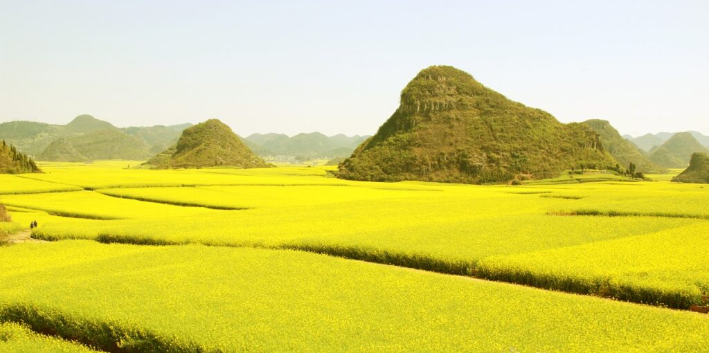 le fioriture più belle del mondo, luoping