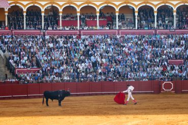 siviglia cosa vedere: la corrida