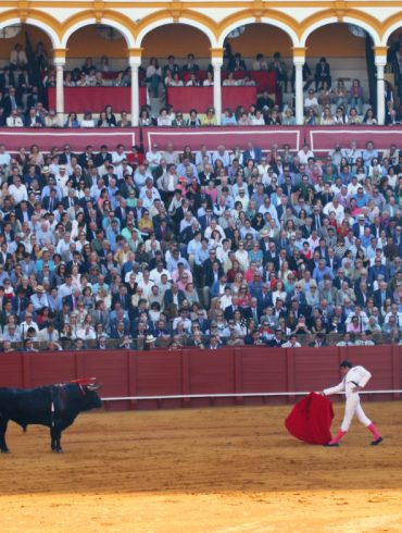 siviglia cosa vedere: la corrida
