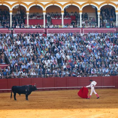 siviglia cosa vedere: la corrida