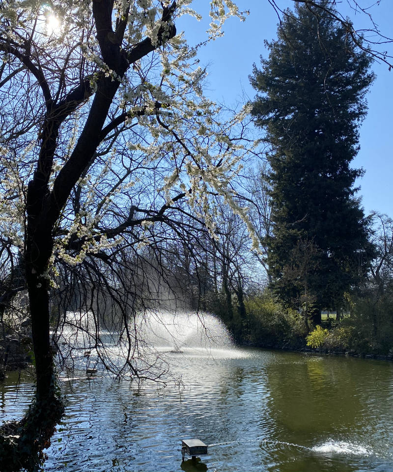 fioriture primaverili a Bologna ai Giardini Margherita