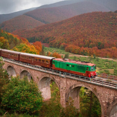 ammirare il foliage dal treno in Italia