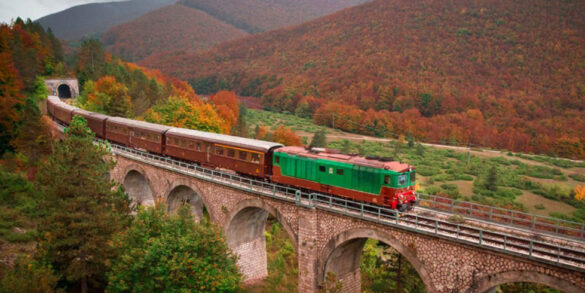 ammirare il foliage dal treno in Italia