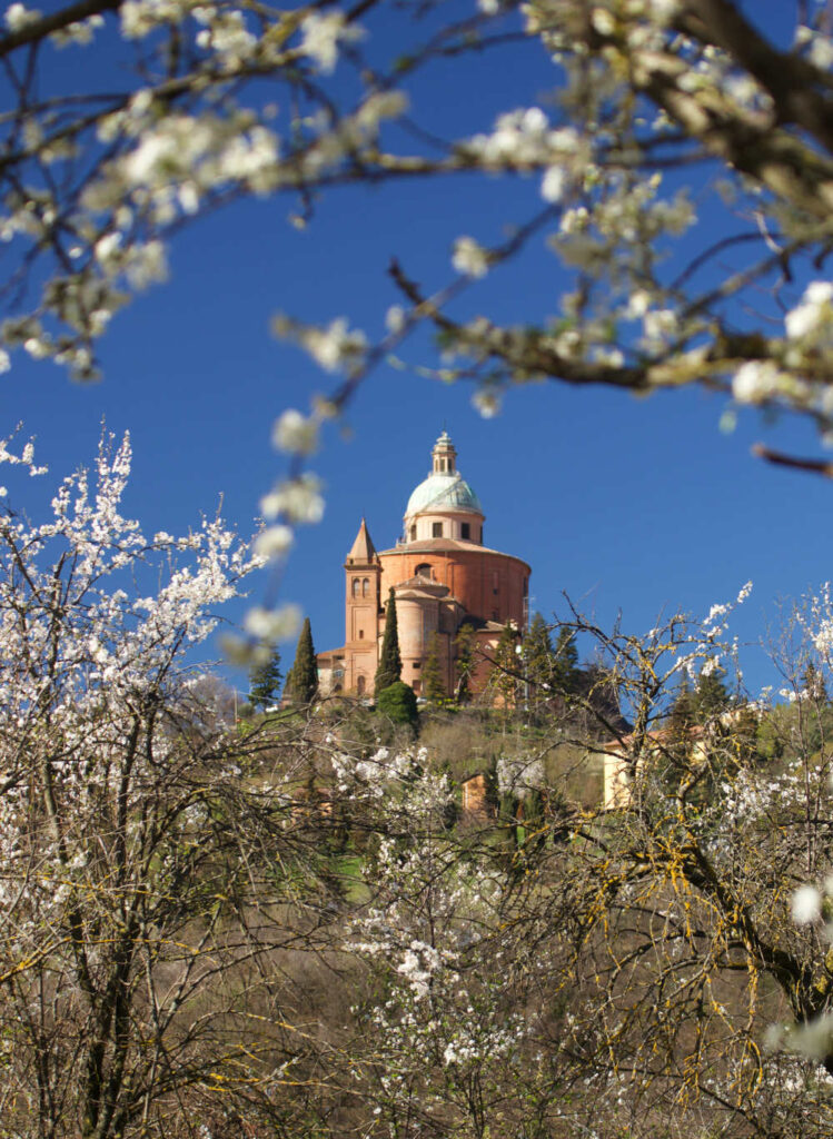 fioriture primaverili a Bologna: Parco dei 300 scalini