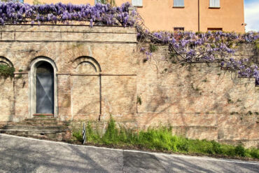 glicini a bologna sui colli