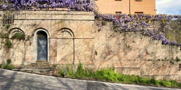 glicini a bologna sui colli