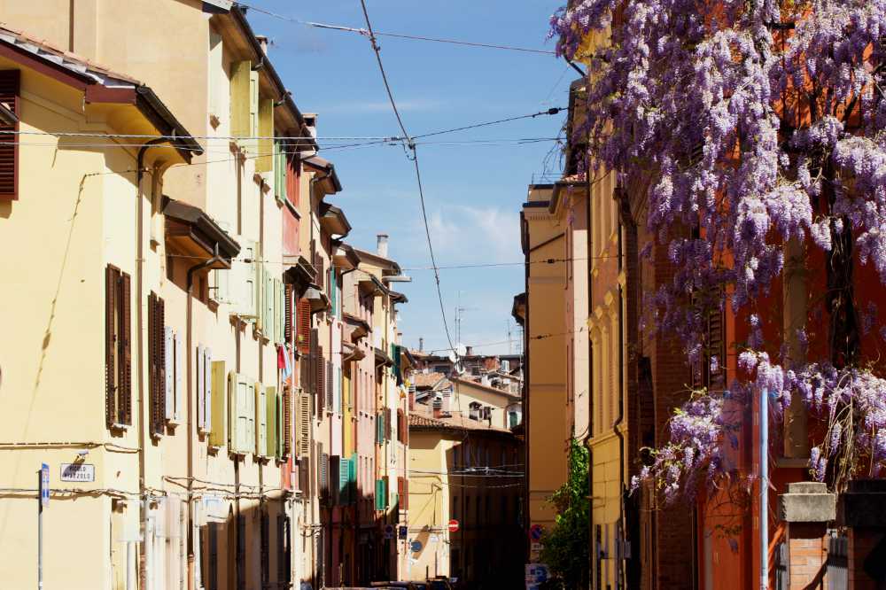 glicini a Bologna in via degli angeli