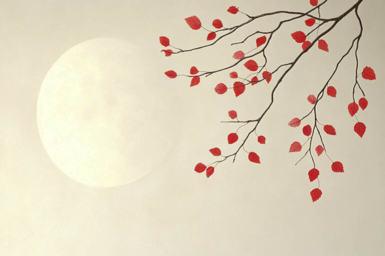 la luna influenza la nostra vita? e il raggiungimento dei nostri obiettivi?